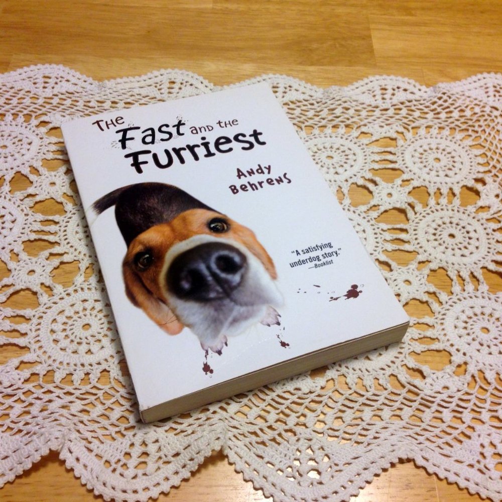 Book Sale! 3 for $10! Middle Grade fiction -  Fast and Furriest